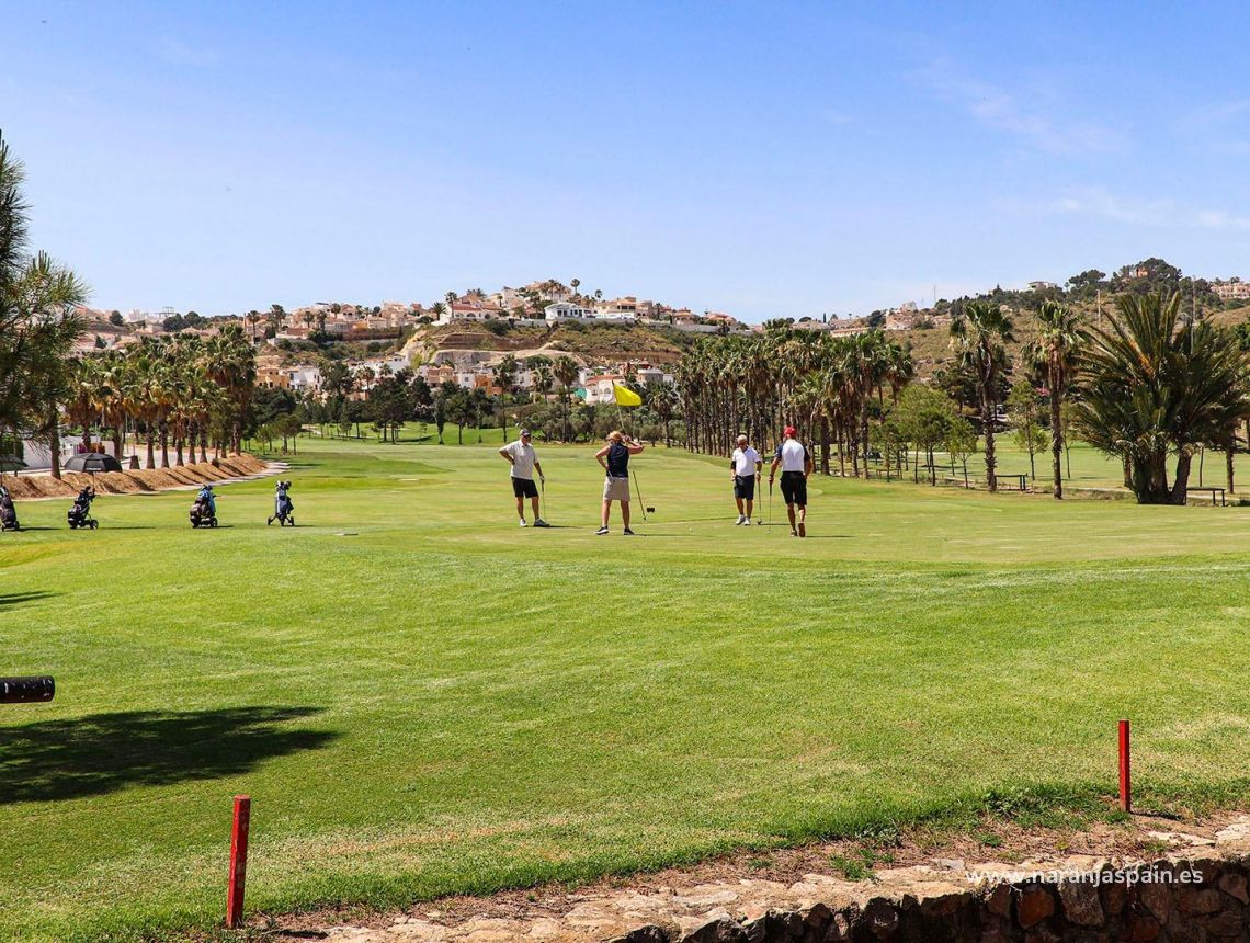 Nauja statyba - Villa - Rojales - Ciudad Quesada