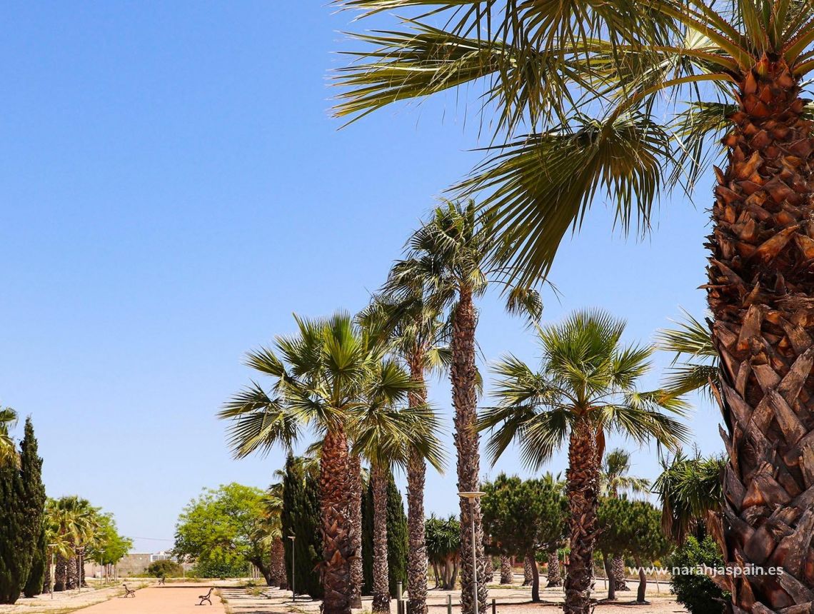 Nauja statyba - Villa - San Fulgencio - La Escuera