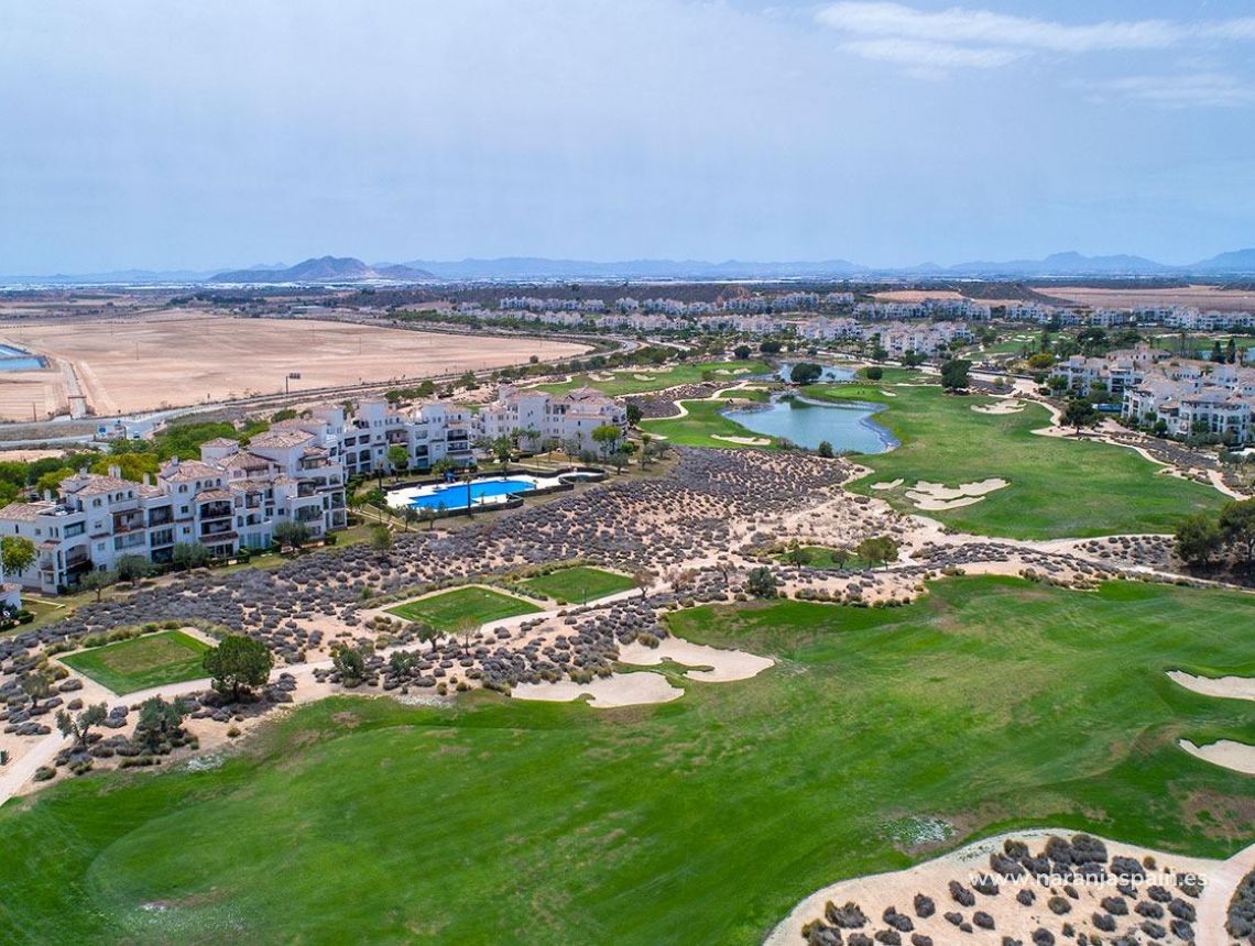 Nauja statyba - Villa - Sucina