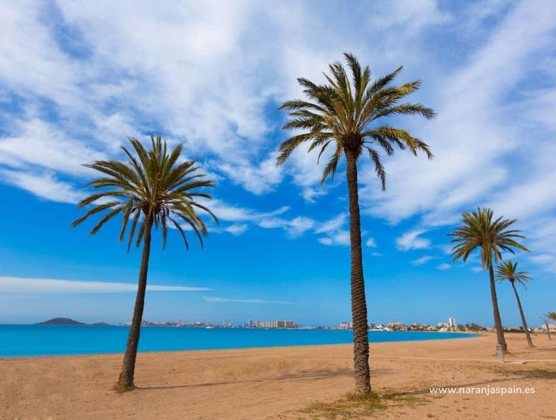 Nauja statyba - Villa - Torre Pacheco - Roldán