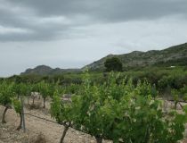 Nauja statyba - Villa - Yecla