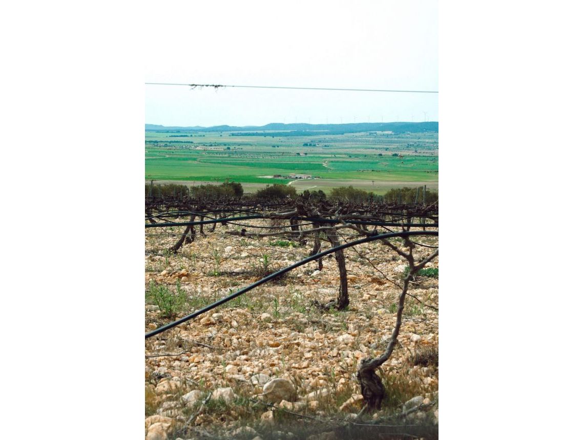 Nauja statyba - Villa - Yecla