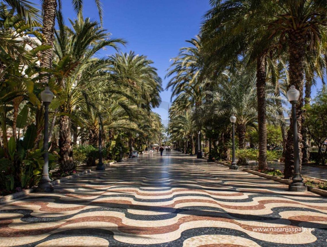 New build - Апартаменты - Alicante - Centro