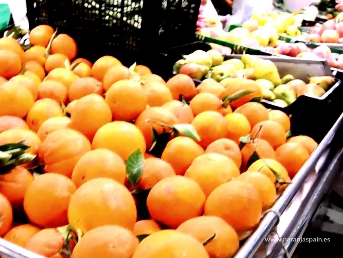 New build - Апартаменты - Торевьеха - Centro