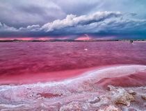 New build - Апартаменты - Торевьеха - Centro