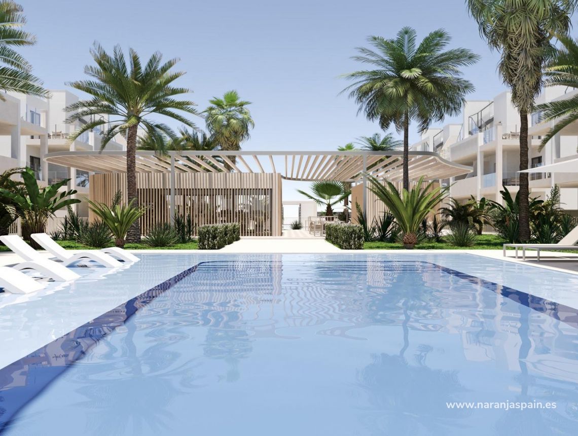 New build - Апартаменты - Torre Pacheco - San Cayetano