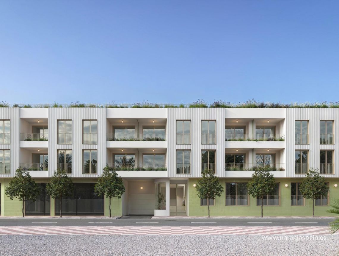 New build - Apartment -  - Comunidad Valenciana