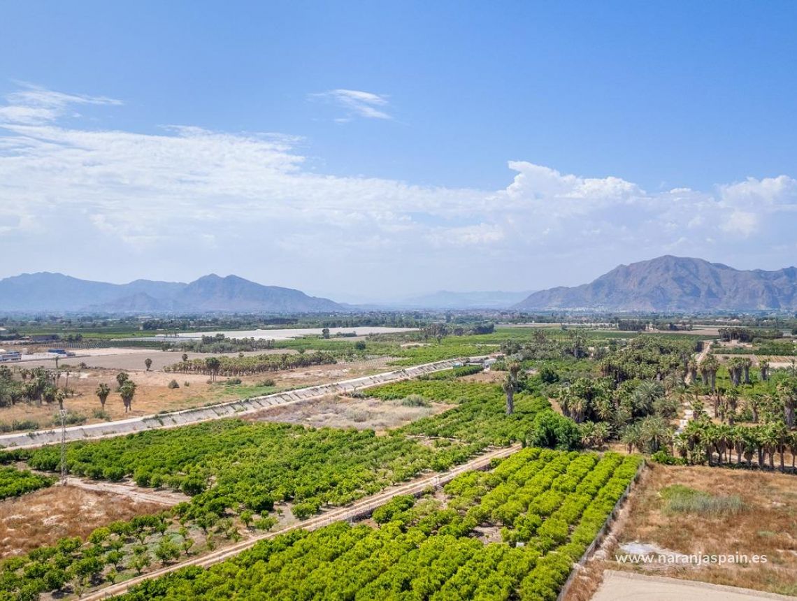 New build - Apartment -  - Comunidad Valenciana