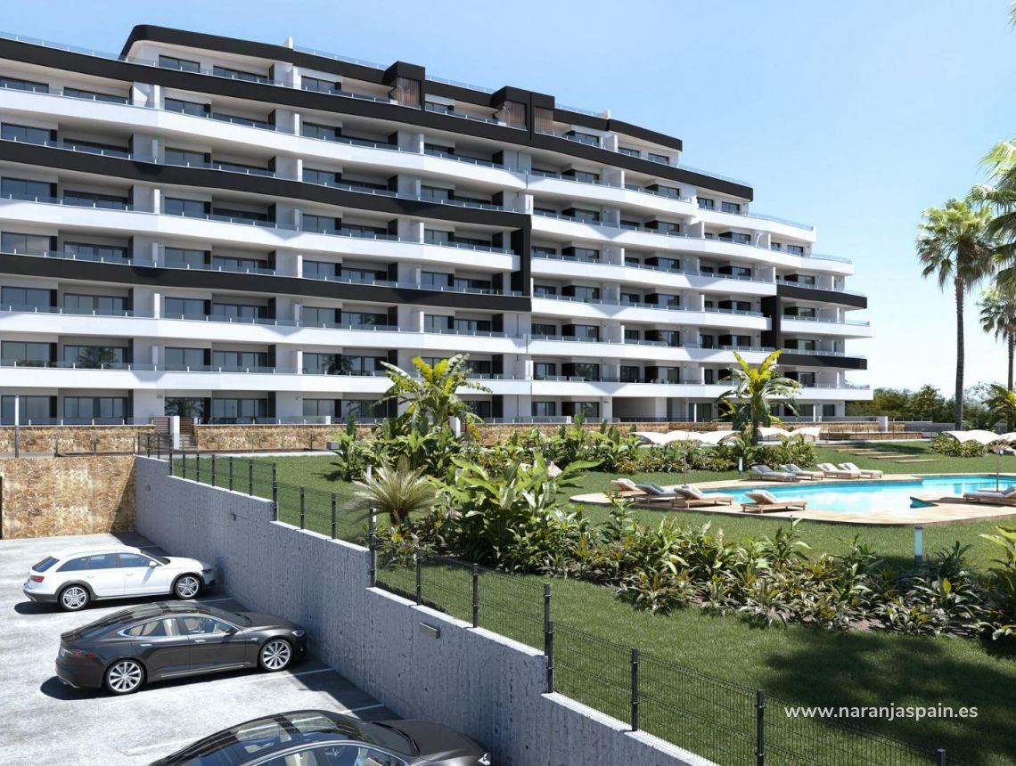 New build - Apartment - San Miguel de Salinas - Pueblo