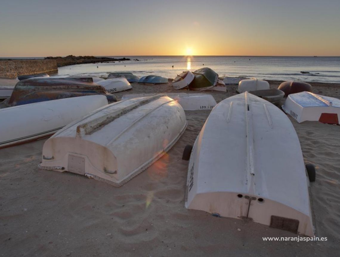 New build - Bungalows - Torrevieja - aguas nuevas