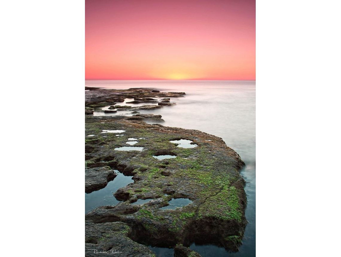 New build - Bungalows - Torrevieja - Torrejón