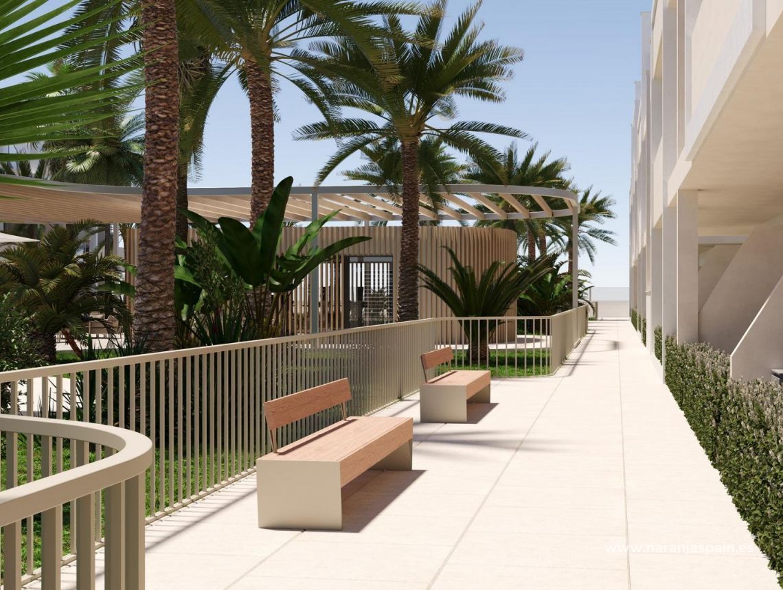 New build - Lägenhet - Torre Pacheco - San Cayetano