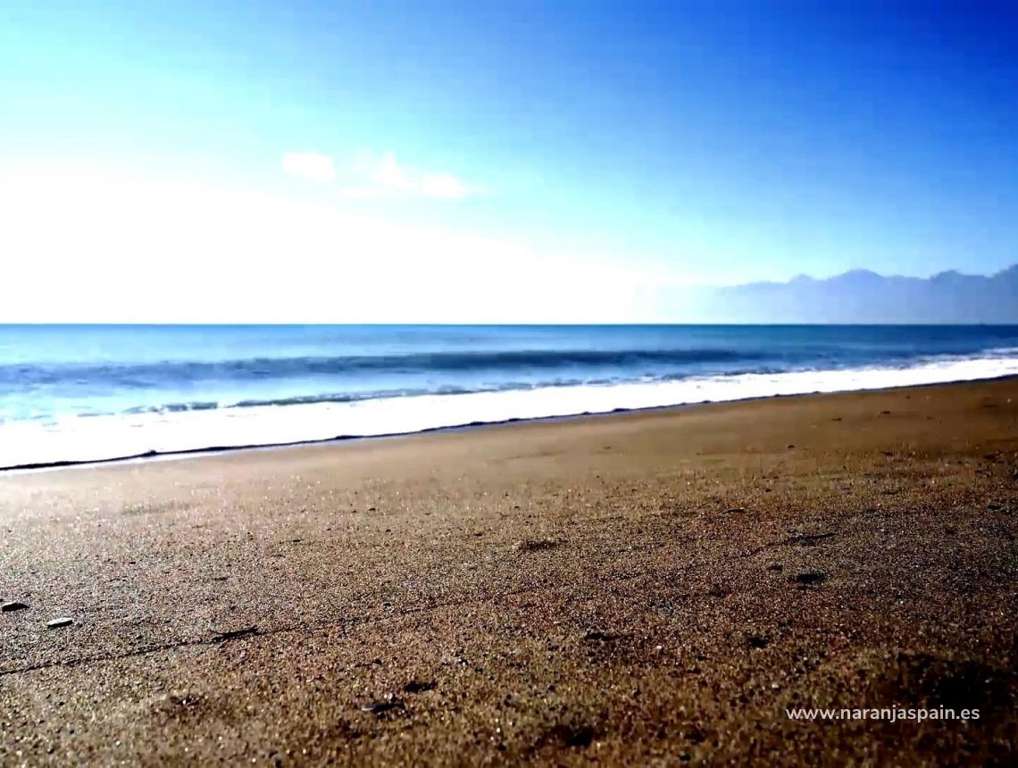 New build - Пентхаус - Торевьеха - Centro