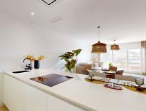 New build - Penthouses - Guardamar del Segura - El Raso