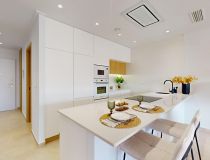 New build - Penthouses - Guardamar del Segura - El Raso