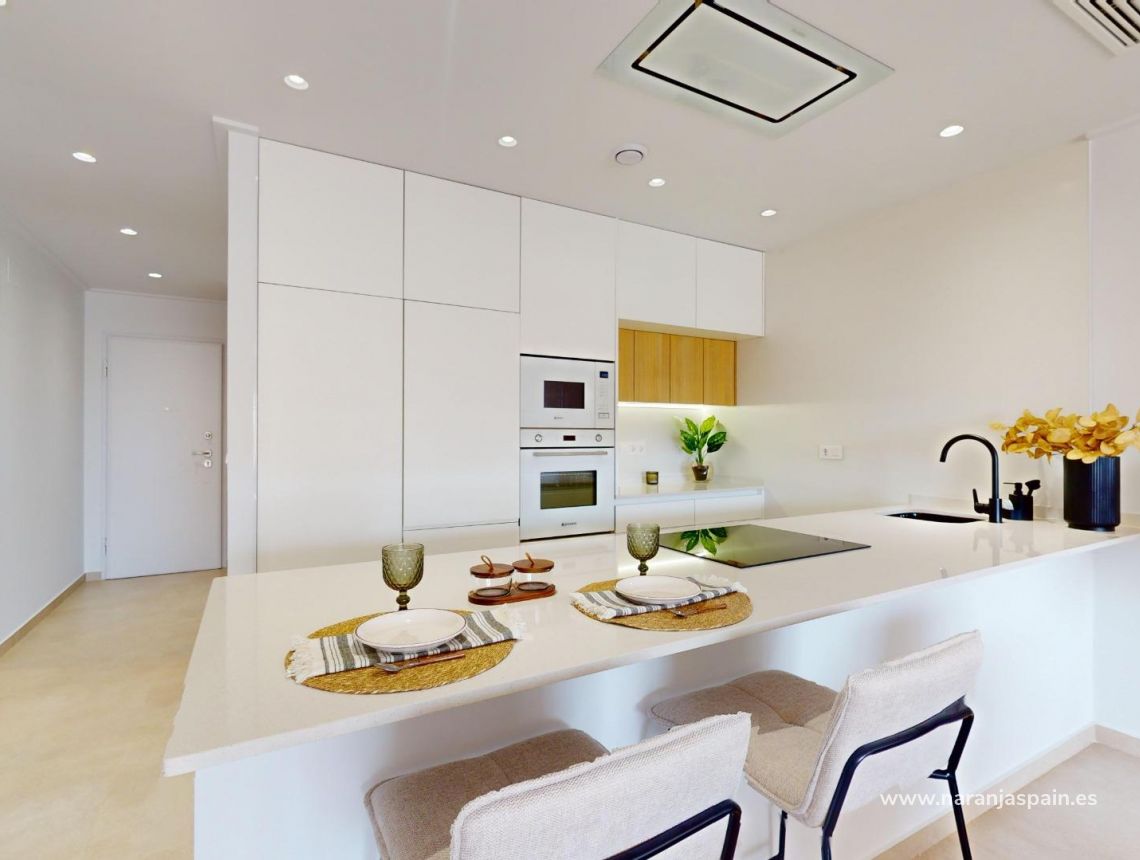 New build - Penthouses - Guardamar del Segura - El Raso