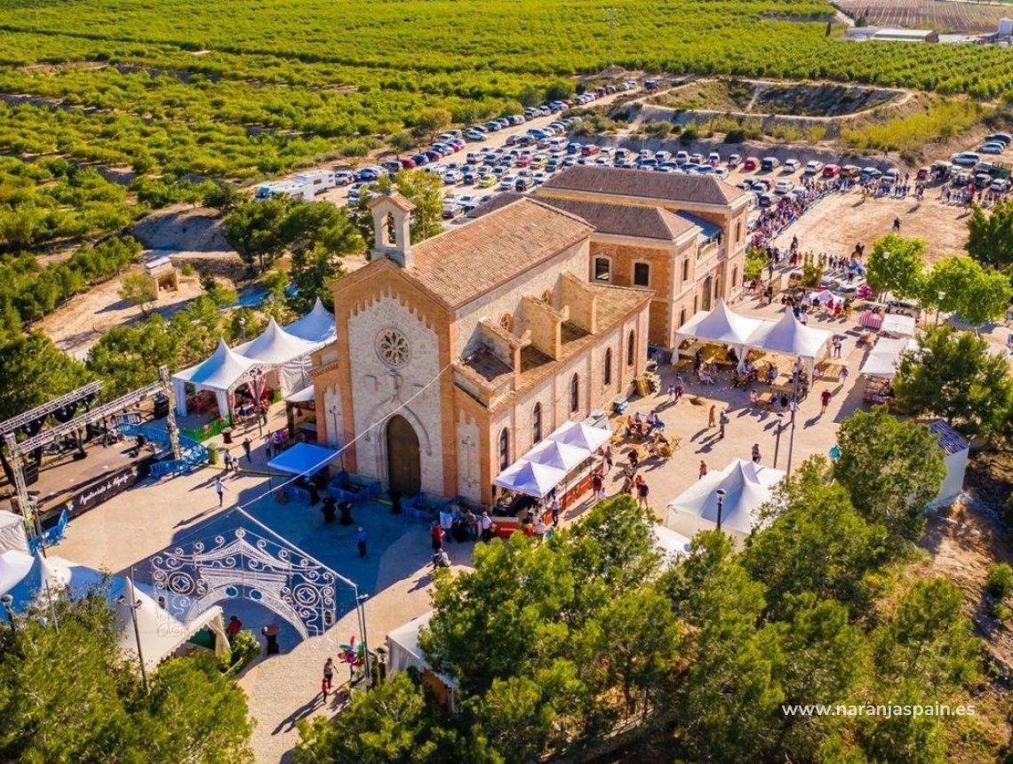 New build - Villa - Algorfa - Castillo De Montemar