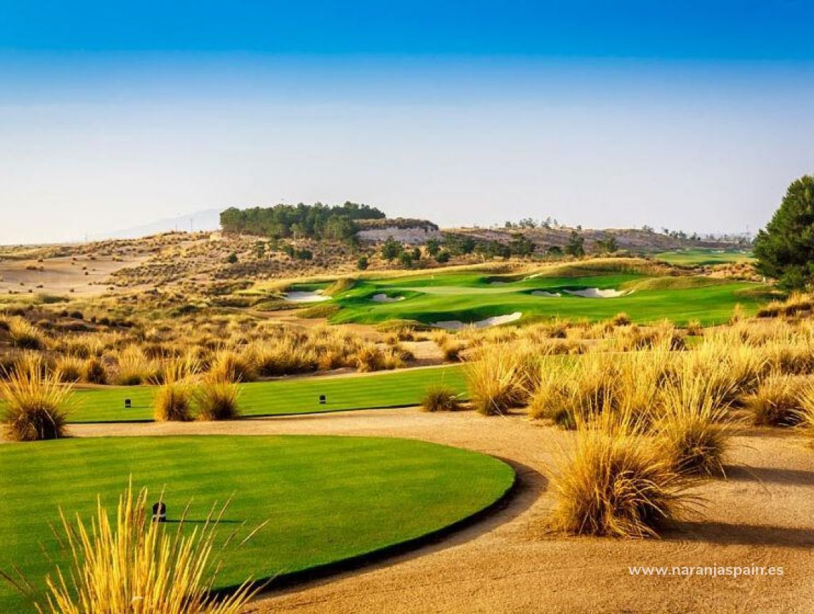 New build - Villa - Alhama De Murcia - Condado De Alhama