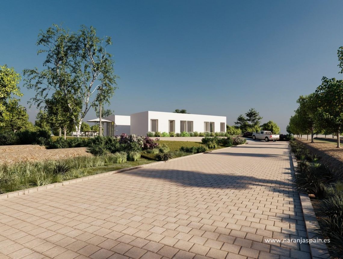 New build - Villa - Benejúzar - alta