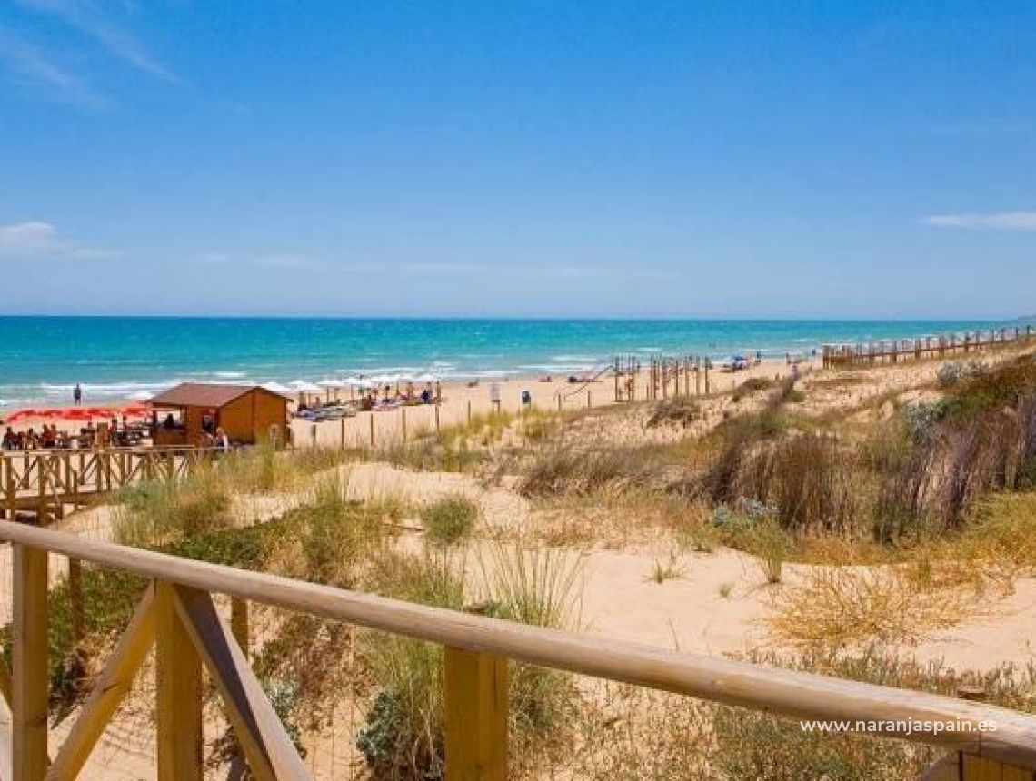 New build - Villa - Benijofar - Pueblo