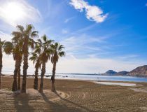 New build - Villa - Els Poblets - Marina Alta