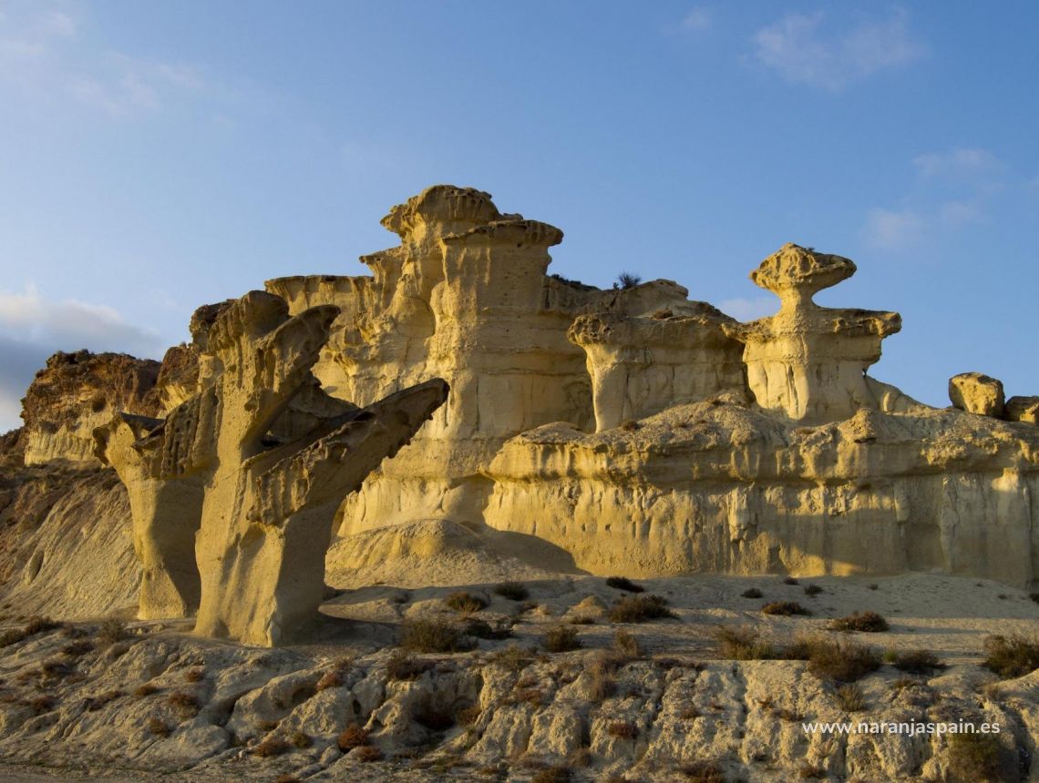 New build - Villa - Fuente Álamo - La Pinilla