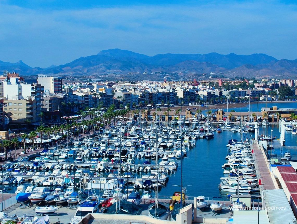 New build - Villa - Fuente Álamo - La Pinilla