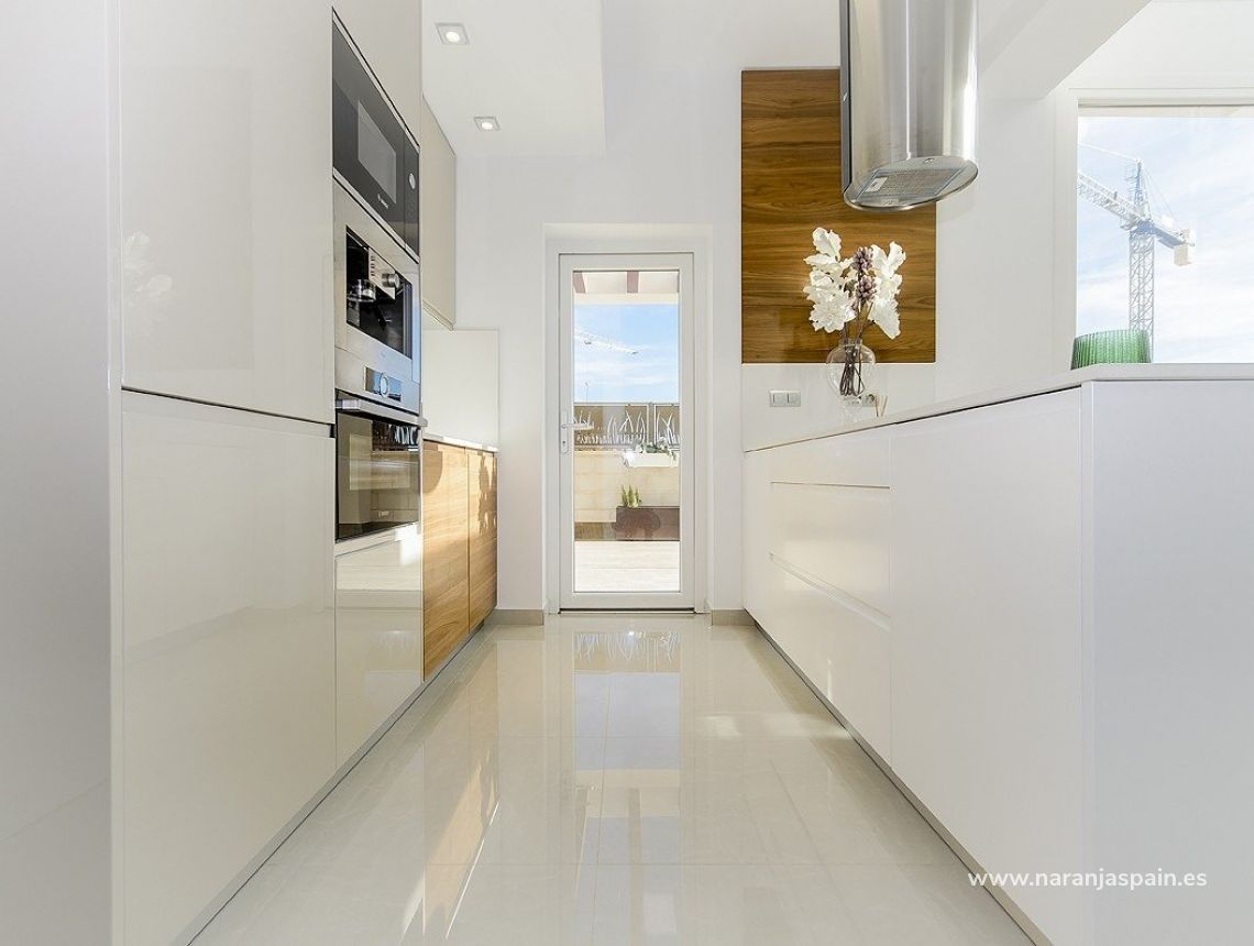 New build - Villa - Los Montesinos - La Herrada