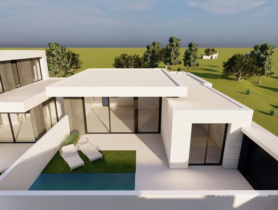 New build - Villa - Pilar de la Horadada - pueblo