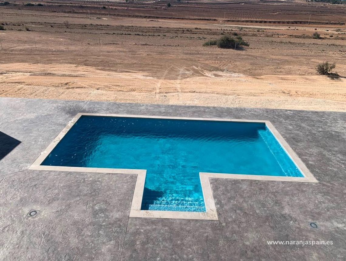 New build - Villa - Pinoso - Camino Del Prado