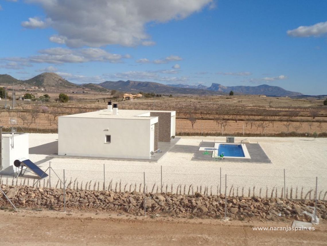 New build - Villa - Pinoso - Camino Del Prado