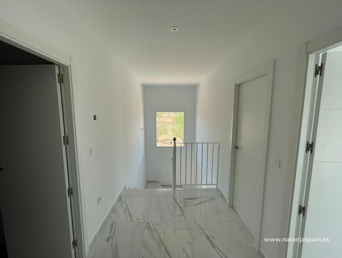 New build - Villa - Pinoso - Camino Del Prado