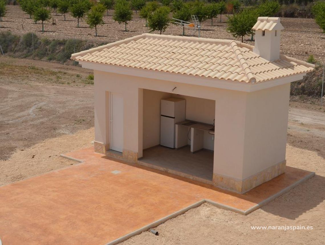 New build - Villa - Pinoso - Camino Del Prado