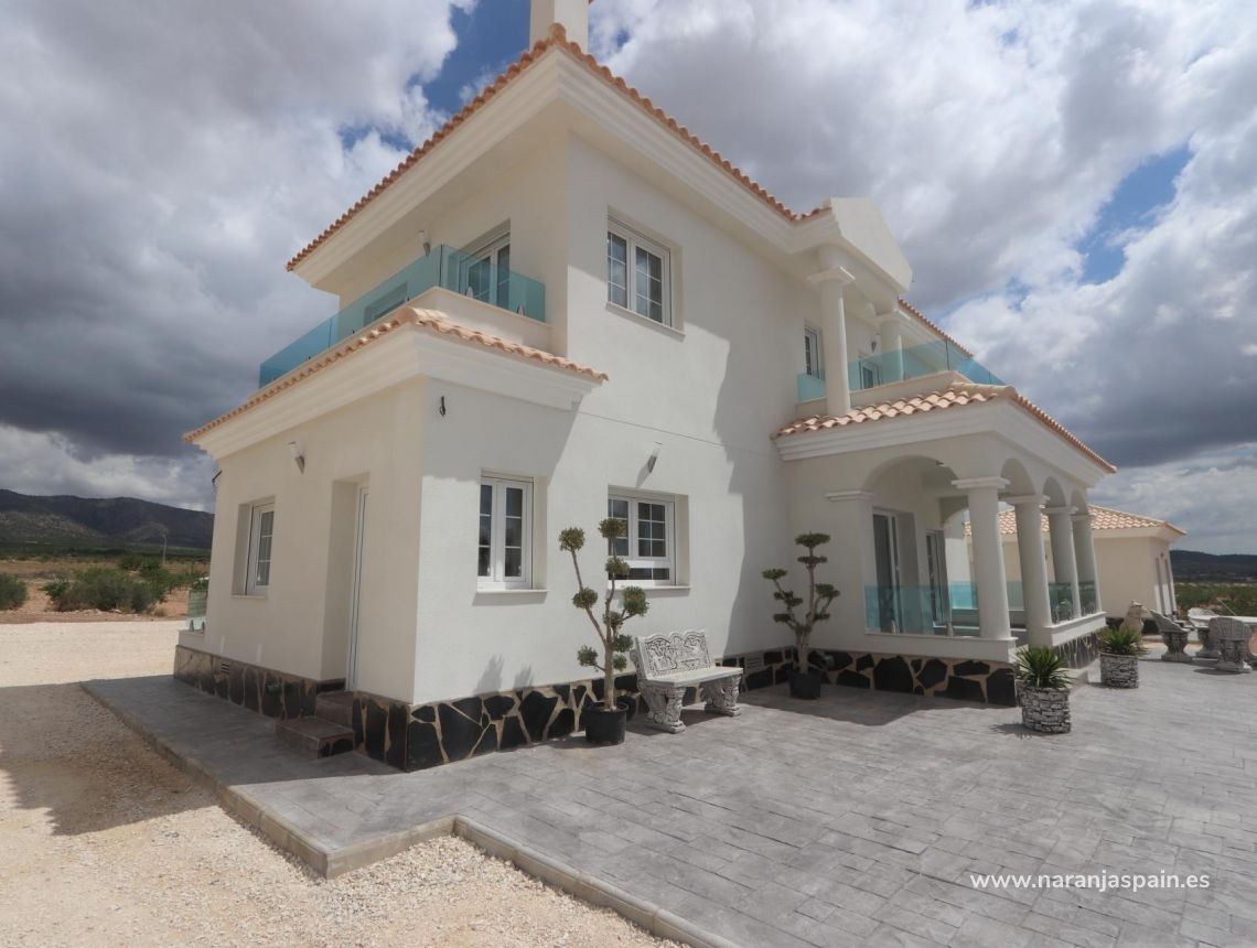 New build - Villa - Pinoso - Camino Del Prado