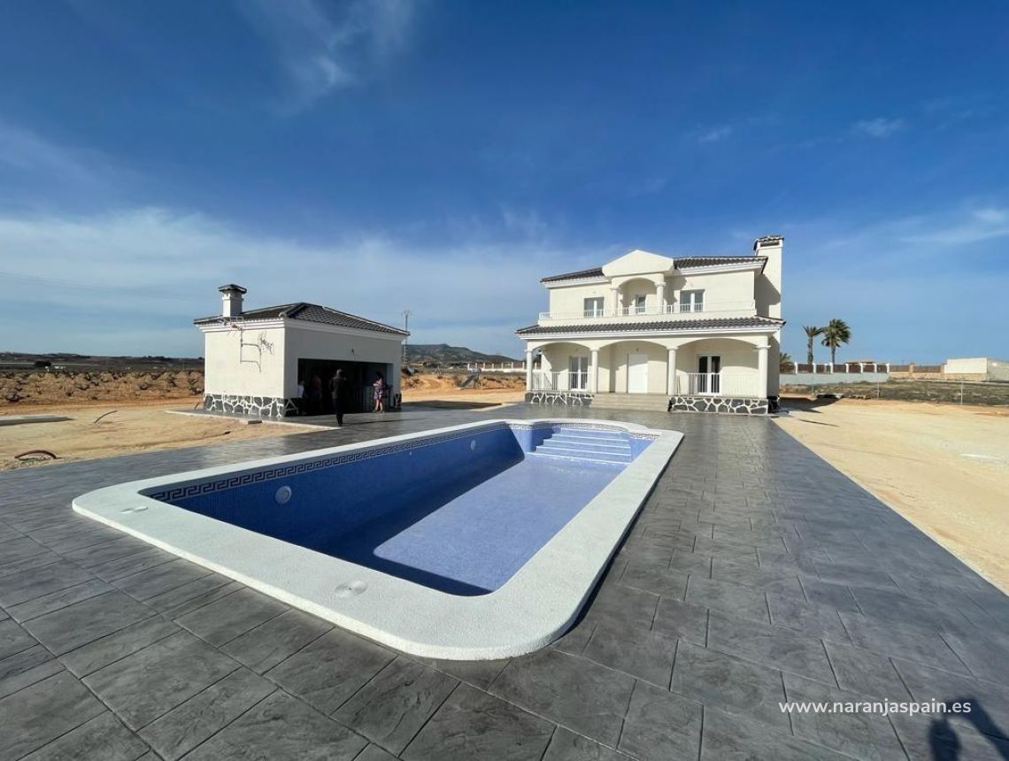 New build - Villa - Pinoso - Camino Del Prado