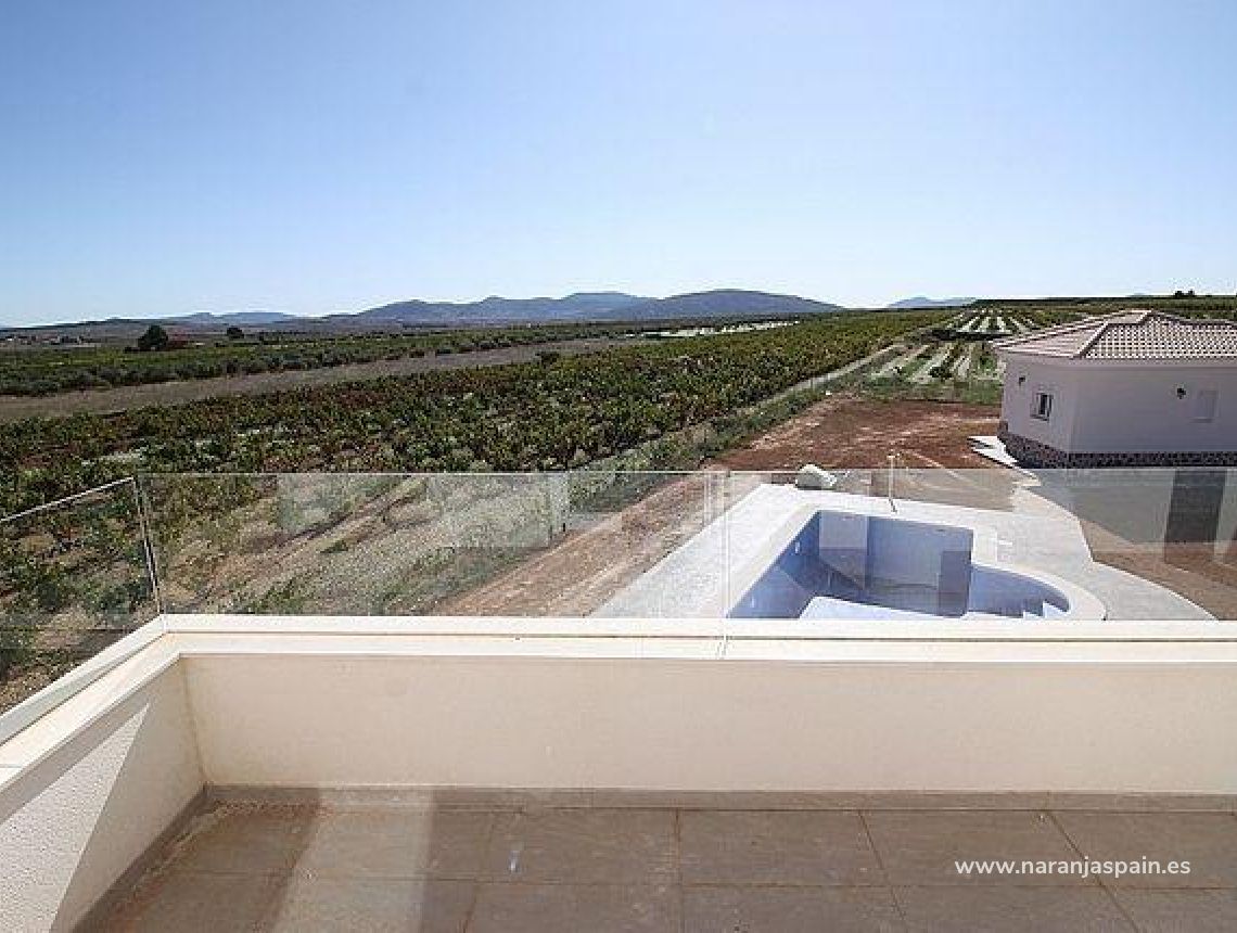 New build - Villa - Pinoso - Camino Del Prado