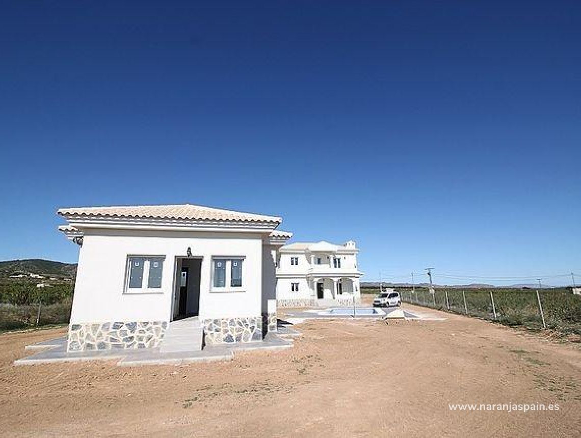 New build - Villa - Pinoso - Camino Del Prado