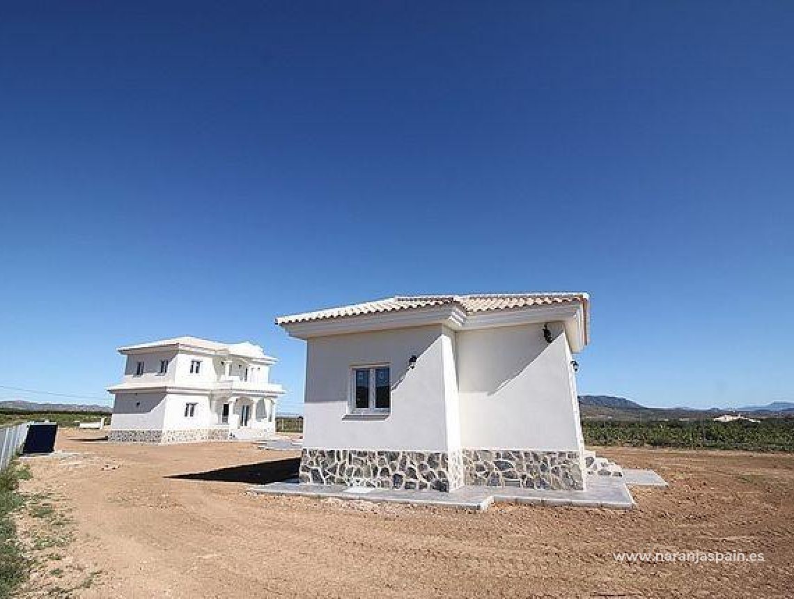 New build - Villa - Pinoso - Camino Del Prado