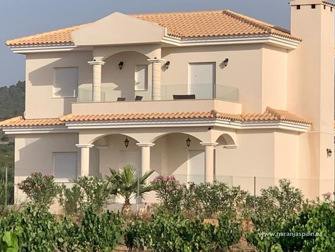 New build - Villa - Pinoso - Camino Del Prado