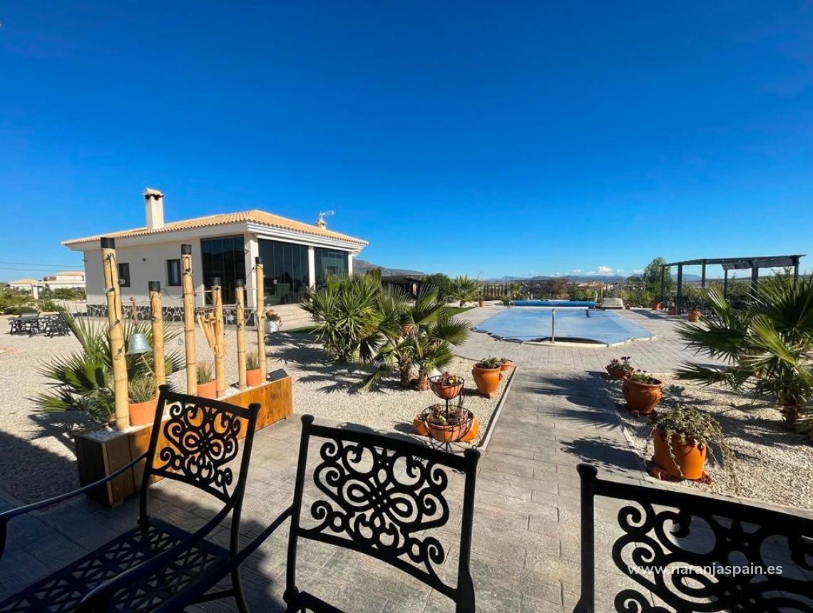 New build - Villa - Pinoso - Camino Del Prado