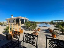 New build - Villa - Pinoso - Camino Del Prado