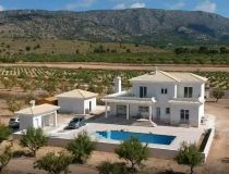 New build - Villa - Pinoso - Camino Del Prado