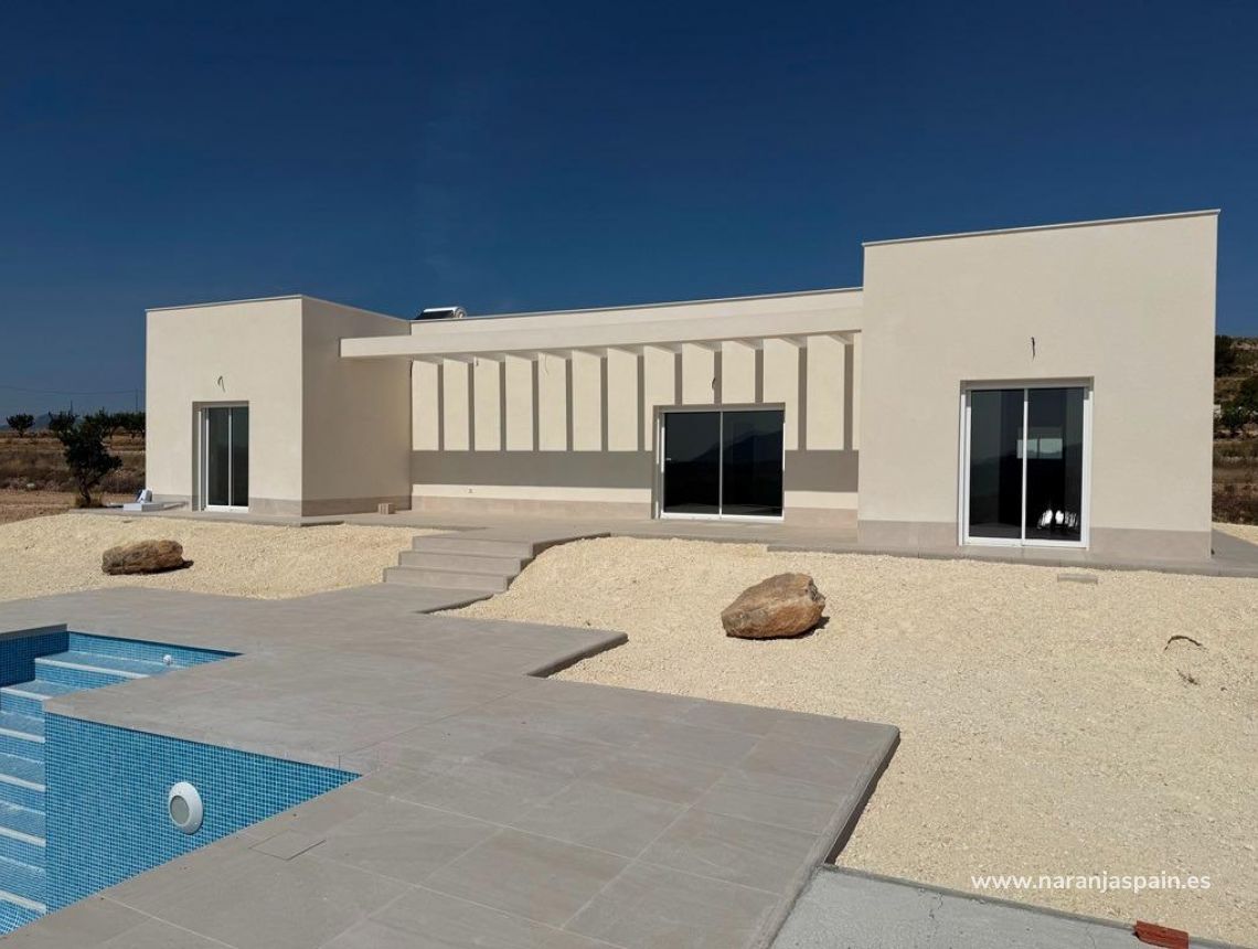 New build - Villa - Pinoso - Camino Del Prado