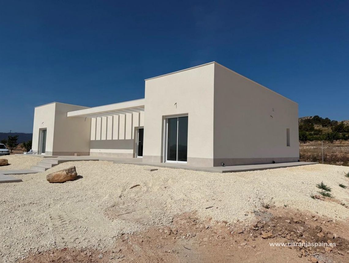 New build - Villa - Pinoso - Camino Del Prado