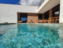 New build - Villa - Pinoso - Campo