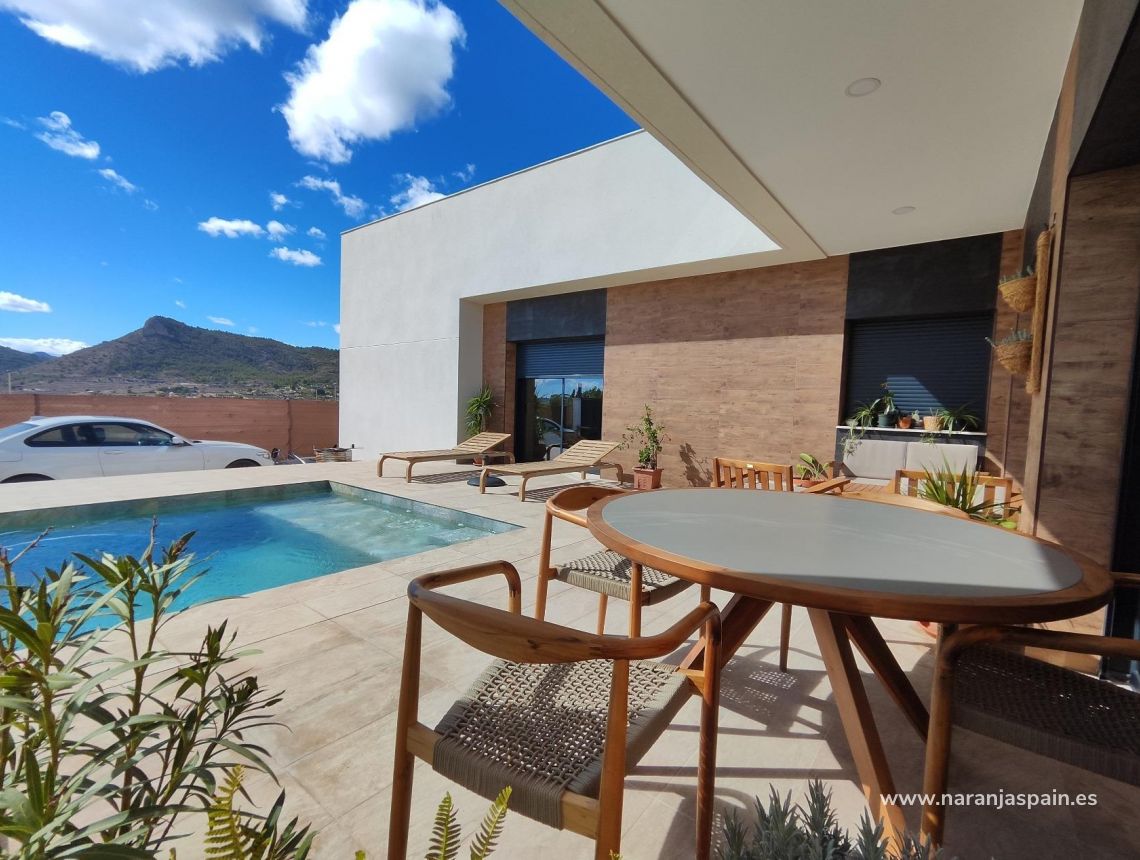 New build - Villa - Pinoso - Campo