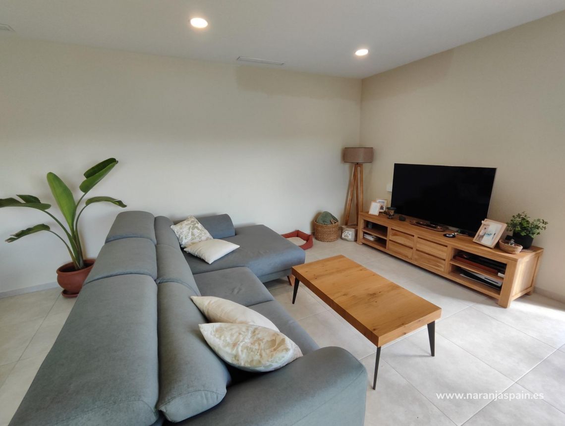 New build - Villa - Pinoso - Campo