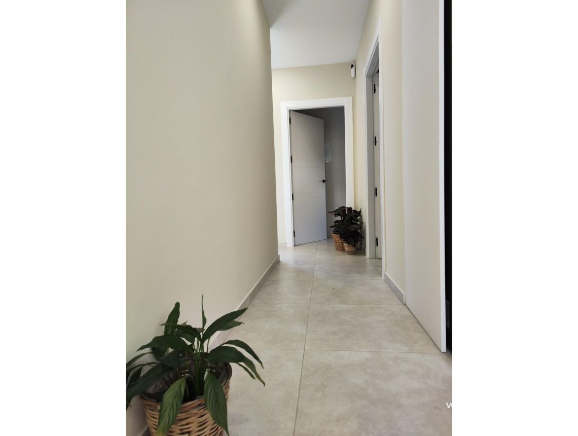 New build - Villa - Pinoso - Campo