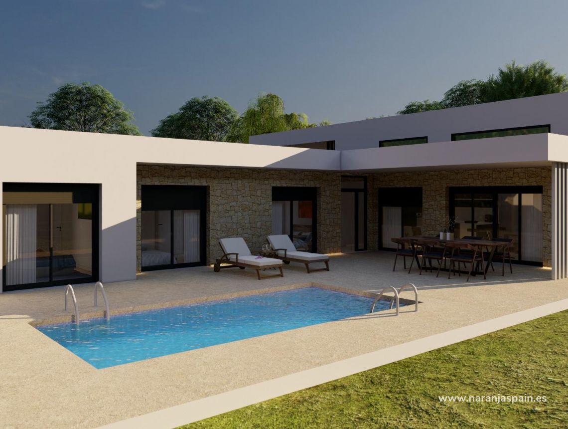 New build - Villa - Pinoso - Campo