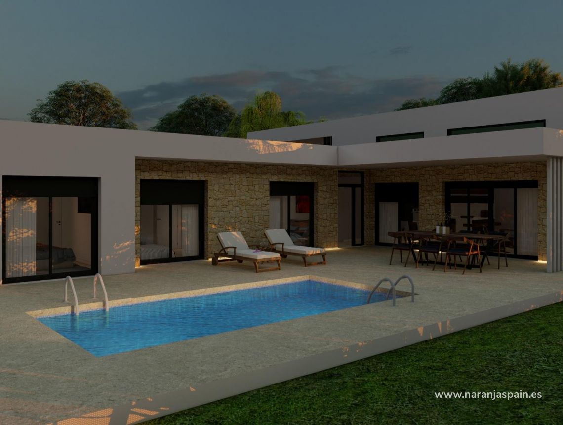 New build - Villa - Pinoso - Campo